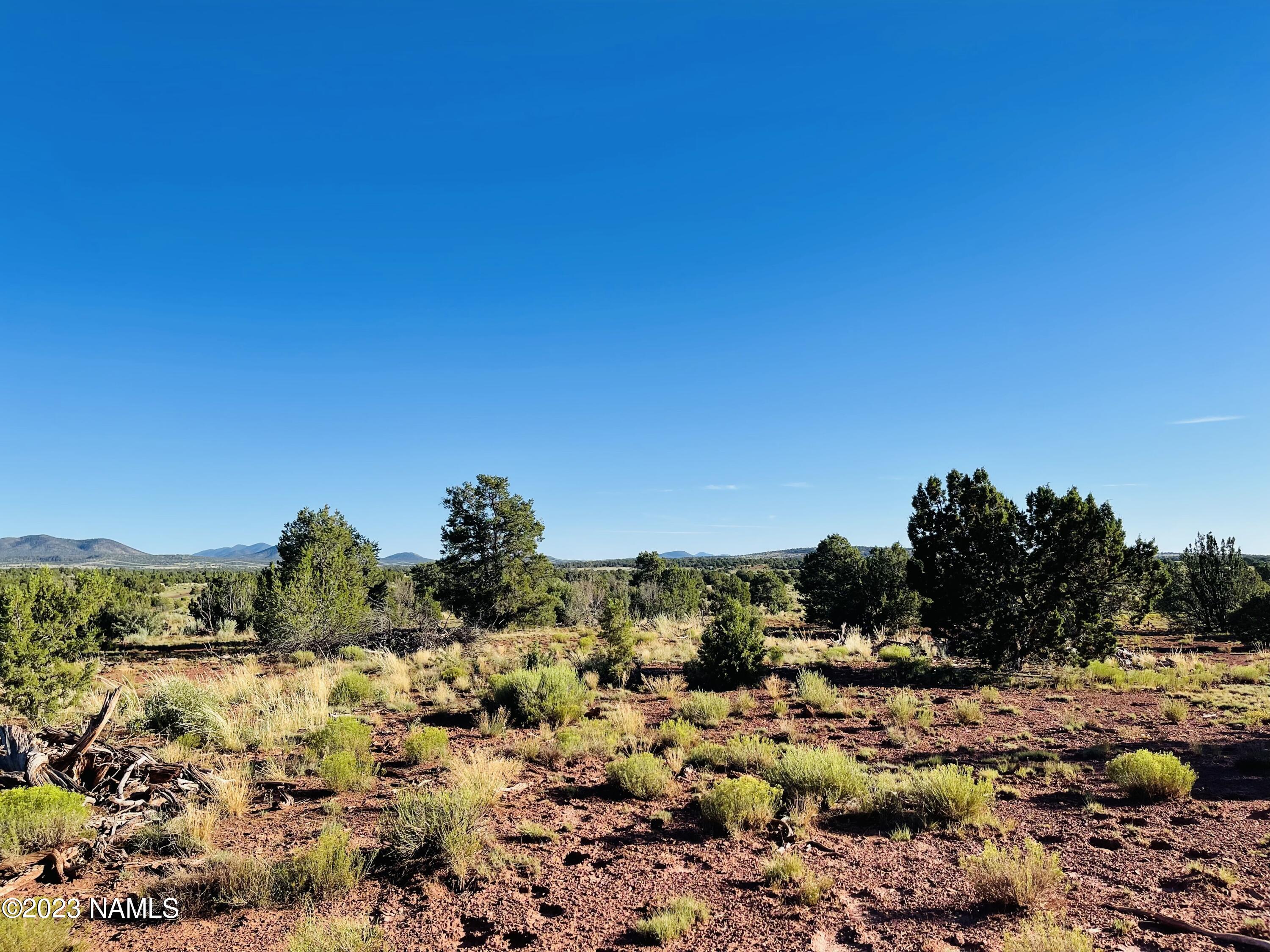 Xxxx Lasso Loop Lot C