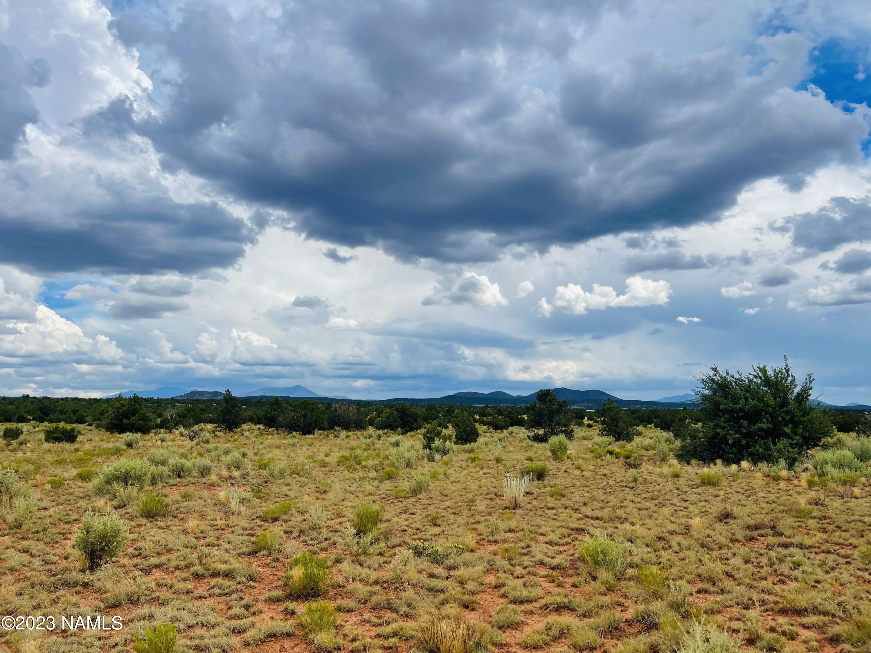 Xxxx Lasso Loop Lot C