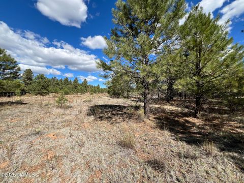 Photo of Parks, AZ 86018 (MLS # 202508)