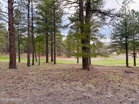 Photo of Williams, AZ 86046 (MLS # 204070)