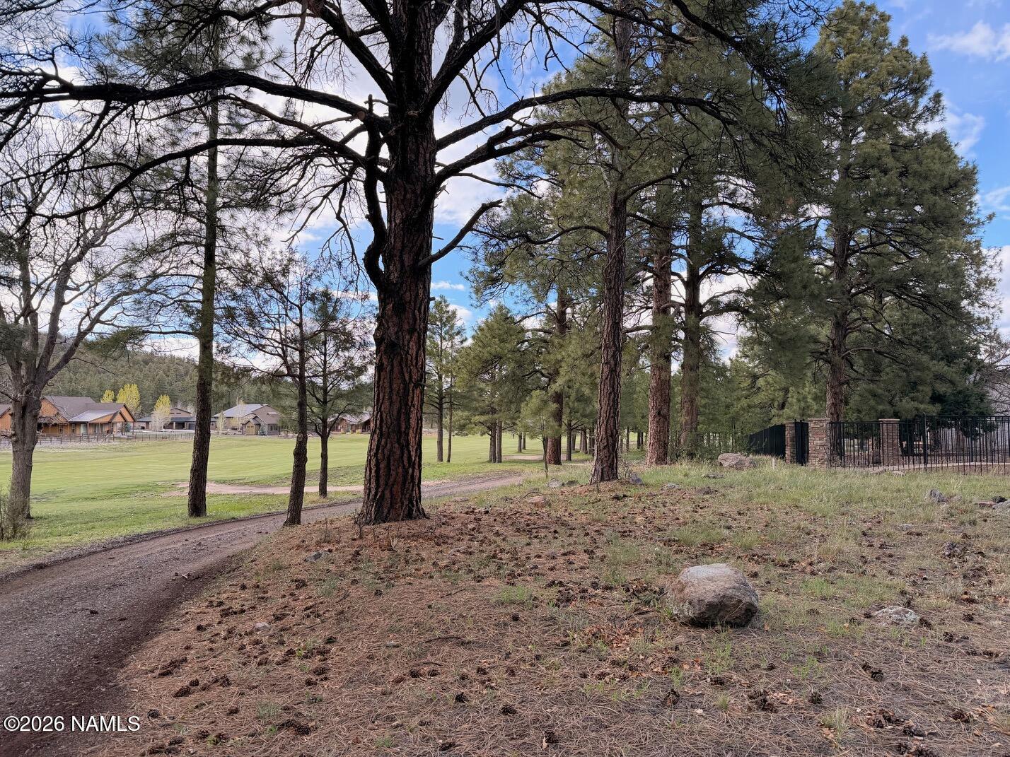 1128 S Torrey Pines Drive