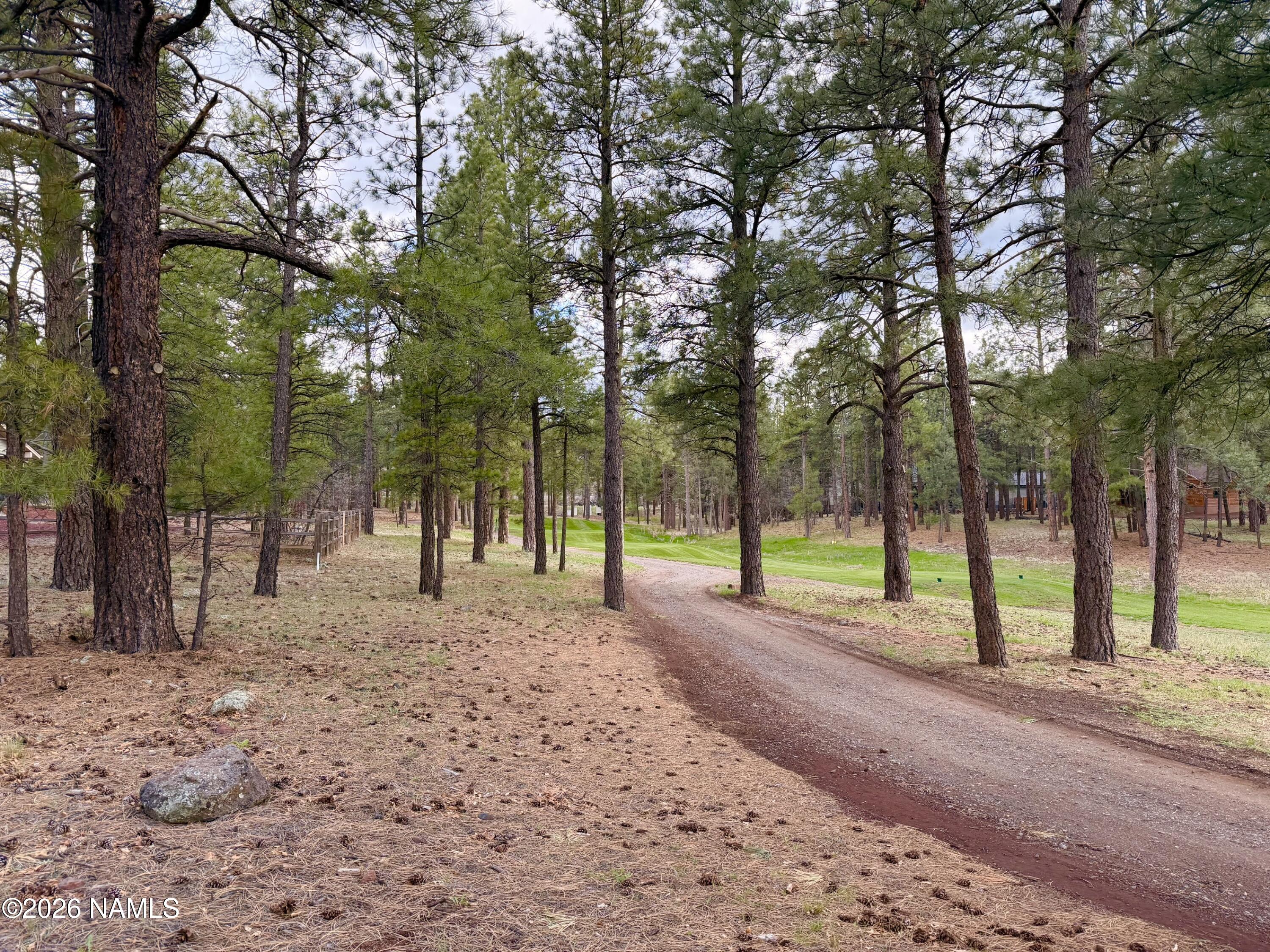 1128 S Torrey Pines Drive