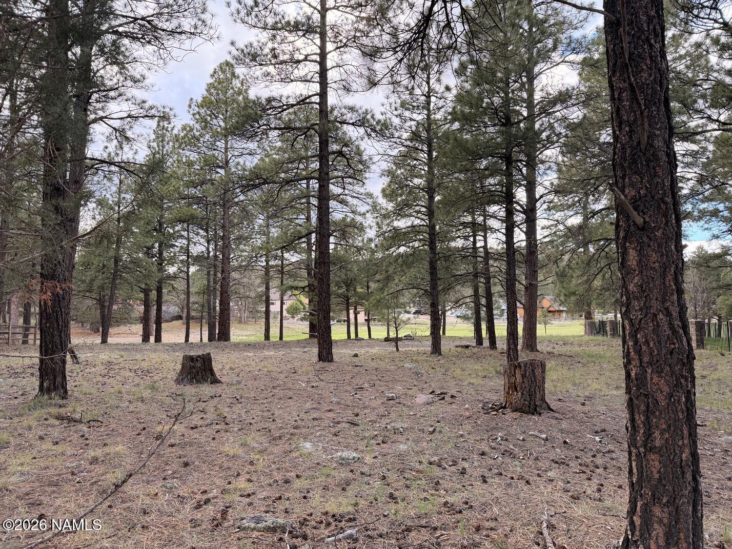 1128 S Torrey Pines Drive