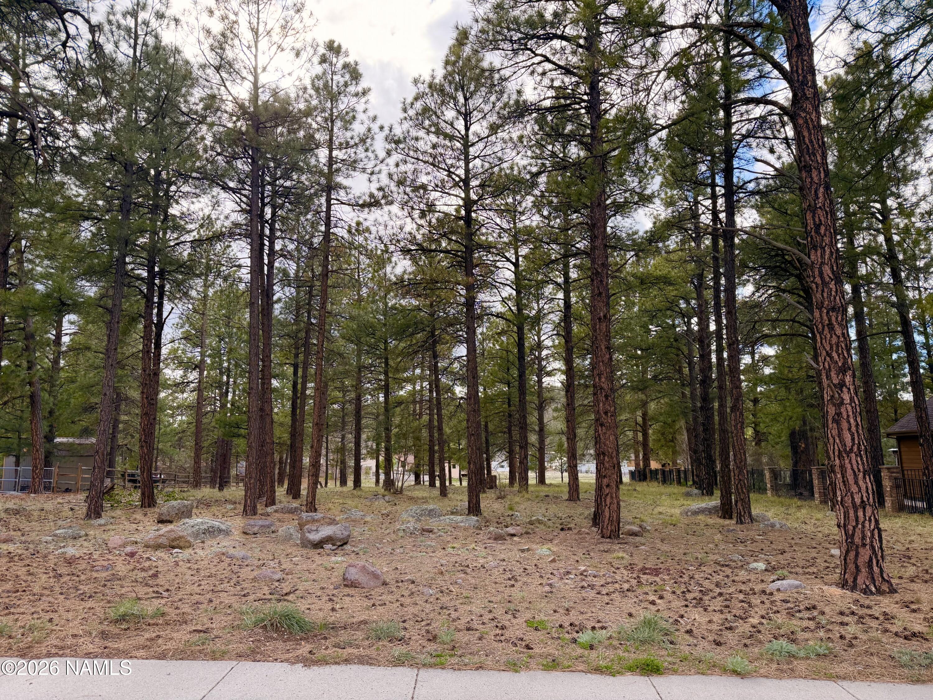 1128 S Torrey Pines Drive