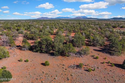 Photo of Williams, AZ 86046 (MLS # 203947)