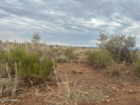 Photo of Williams, AZ 86046 (MLS # 203018)