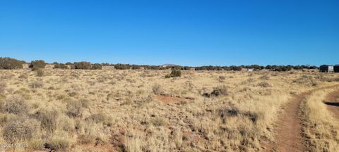Photo of Williams, AZ 86046 (MLS # 203007)