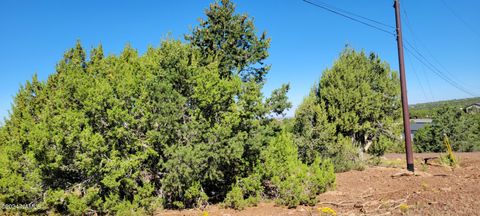 2432 E Fir Street Williams AZ 86046
