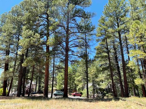 837 W Coy Drive Flagstaff AZ 86005