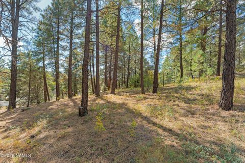 3407 S Litzler Drive Flagstaff AZ 86005