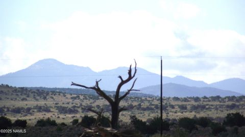 Photo of Williams, AZ 86046 (MLS # 202485)