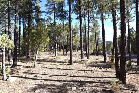 Photo of Williams, AZ 86046 (MLS # 204275)