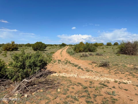 Photo of Williams, AZ 86046 (MLS # 204675)