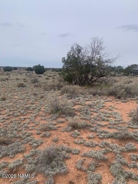 Photo of Williams, AZ 86046 (MLS # 205855)
