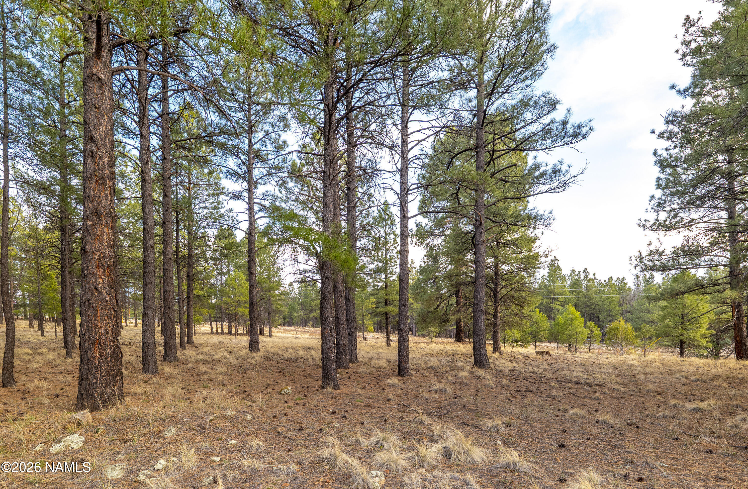 450 N Sky View Street