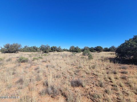 Photo of Williams, AZ 86046 (MLS # 199985)