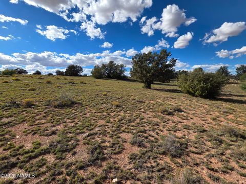 6154 Fire Sky Trl Lot B Williams AZ 86046