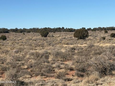Photo of Williams, AZ 86046 (MLS # 202862)