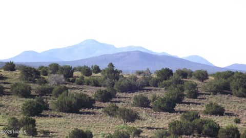 Photo of Williams, AZ 86046 (MLS # 202352)