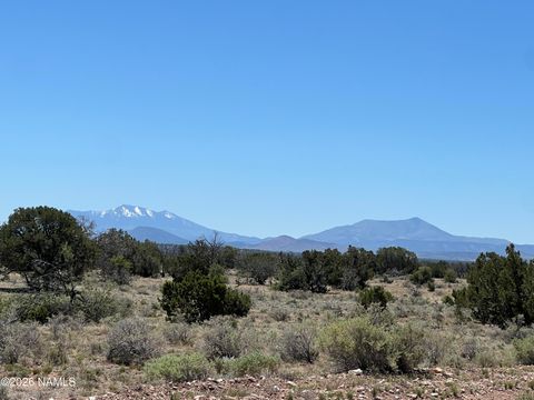 Photo of Williams, AZ 86046 (MLS # 204547)