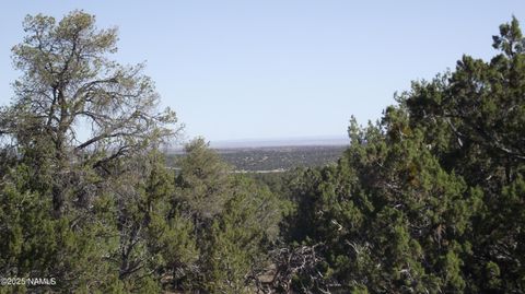Photo of Williams, AZ 86046 (MLS # 201623)