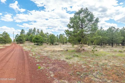 Photo of Parks, AZ 86018 (MLS # 199607)