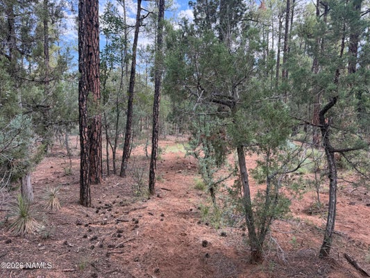 361 W SIERRA PINES DR, SHOW LOW, AZ 85901 - Image 54065921d45d44013901ac1dce114ff5/29325460