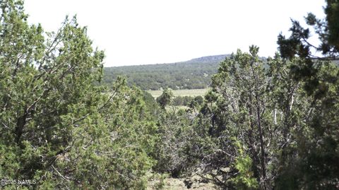 Photo of Williams, AZ 86046 (MLS # 201415)