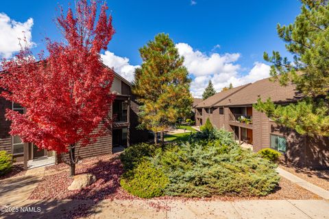 1200 S Riordan Ranch Street 98 Flagstaff AZ 86001