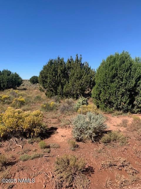 Photo of Williams, AZ 86046 (MLS # 202220)