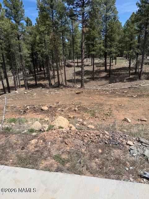 695 N Snowberry Circle Lot 3
