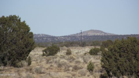 Photo of Williams, AZ 86046 (MLS # 200571)