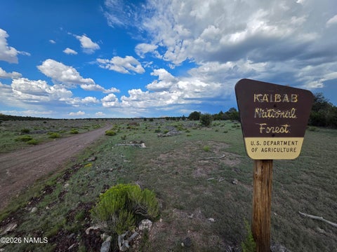 Photo of Williams, AZ 86046 (MLS # 205622)