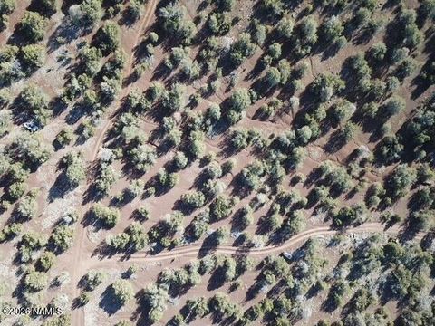 Photo of Williams, AZ 86046 (MLS # 203314)