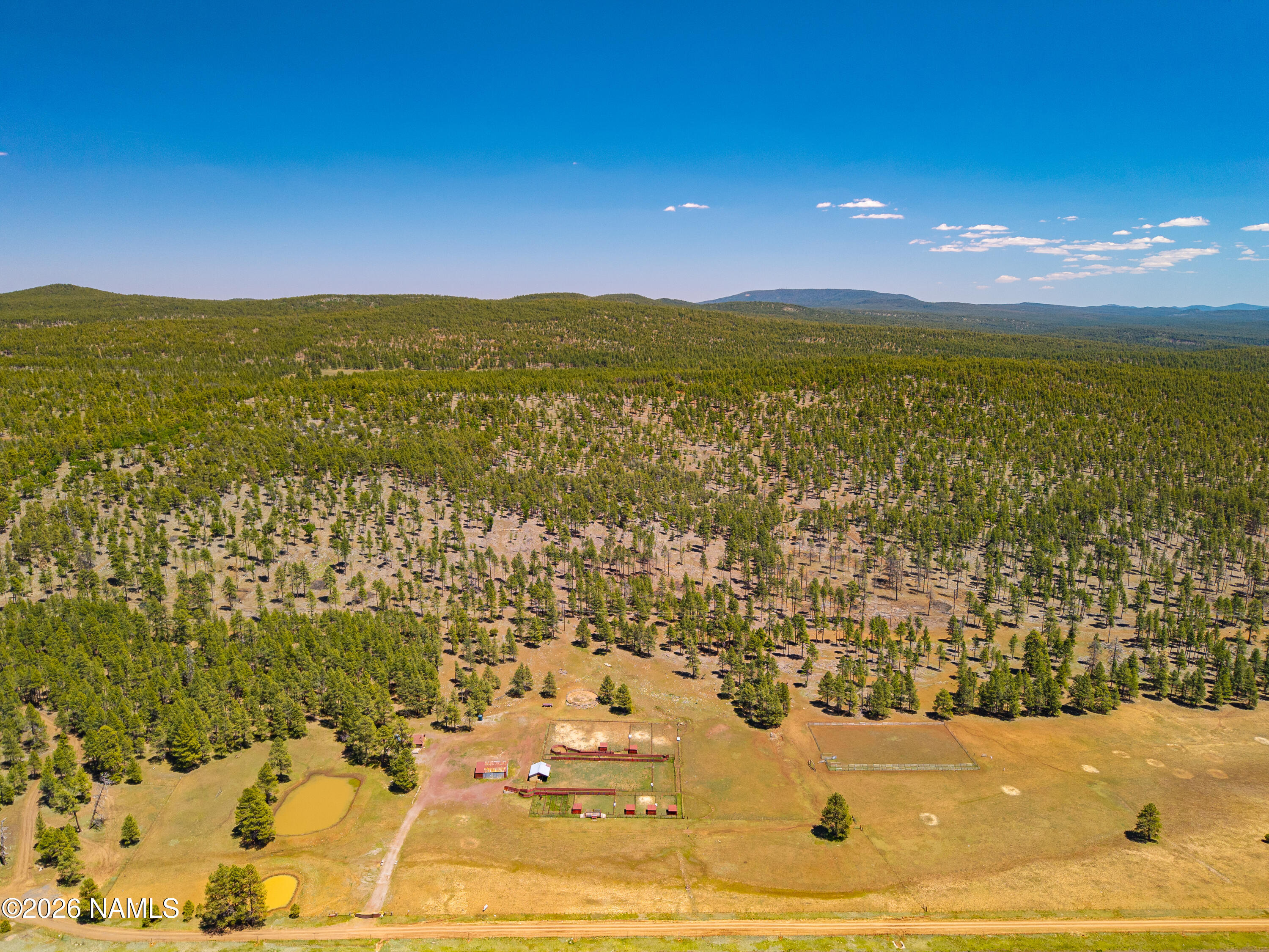 17xx4 Forest Service 772