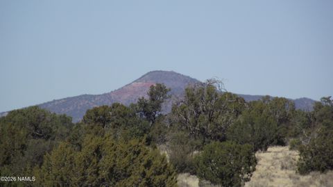 Photo of Williams, AZ 86046 (MLS # 203452)