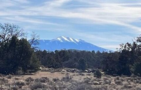 Photo of Williams, AZ 86046 (MLS # 202889)