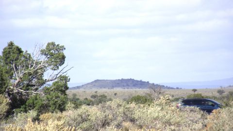 Photo of Williams, AZ 86046 (MLS # 202486)