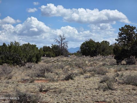 Photo of Williams, AZ 86046 (MLS # 200350)