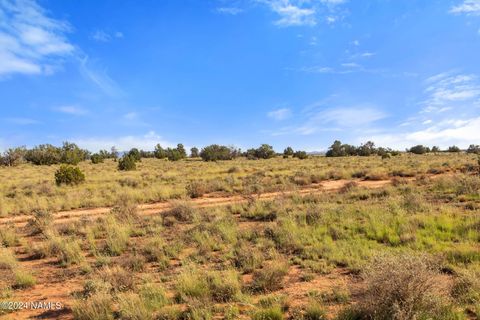 Photo of Williams, AZ 86046 (MLS # 201498)