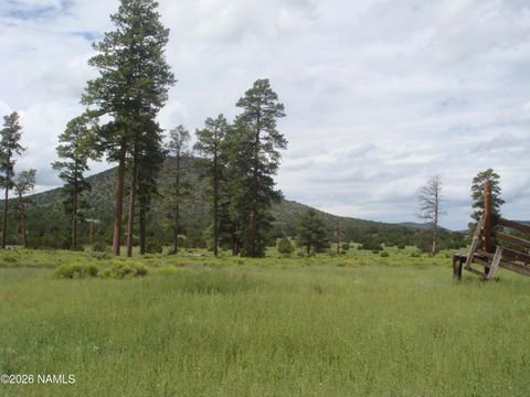 Photo of Williams, AZ 86046 (MLS # 204030)