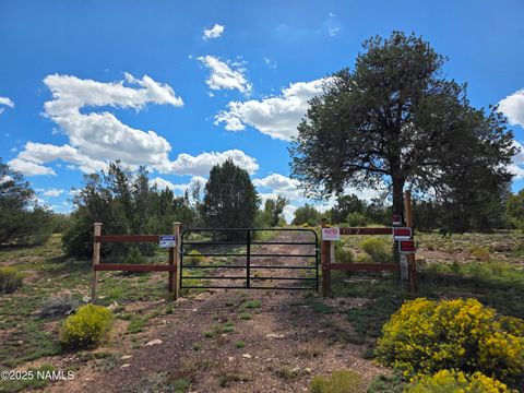 Photo of Williams, AZ 86046 (MLS # 202393)