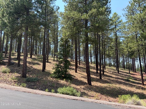 Photo of Flagstaff, AZ 86005 (MLS # 205958)