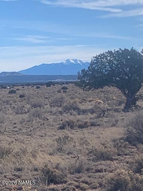 Photo of Williams, AZ 86046 (MLS # 203111)