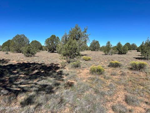 0 W Isabella Lane Williams AZ 86046