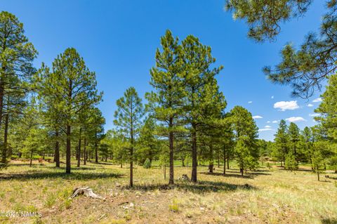 Photo of Flagstaff, AZ 86005 (MLS # 201469)