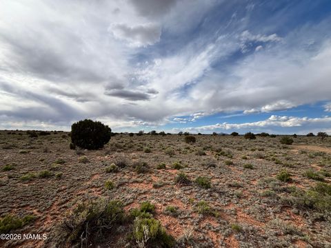 Photo of Williams, AZ 86046 (MLS # 204332)