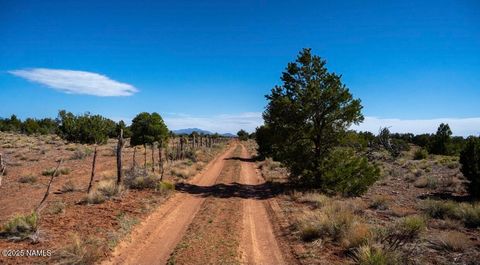 Photo of Williams, AZ 86046 (MLS # 201798)