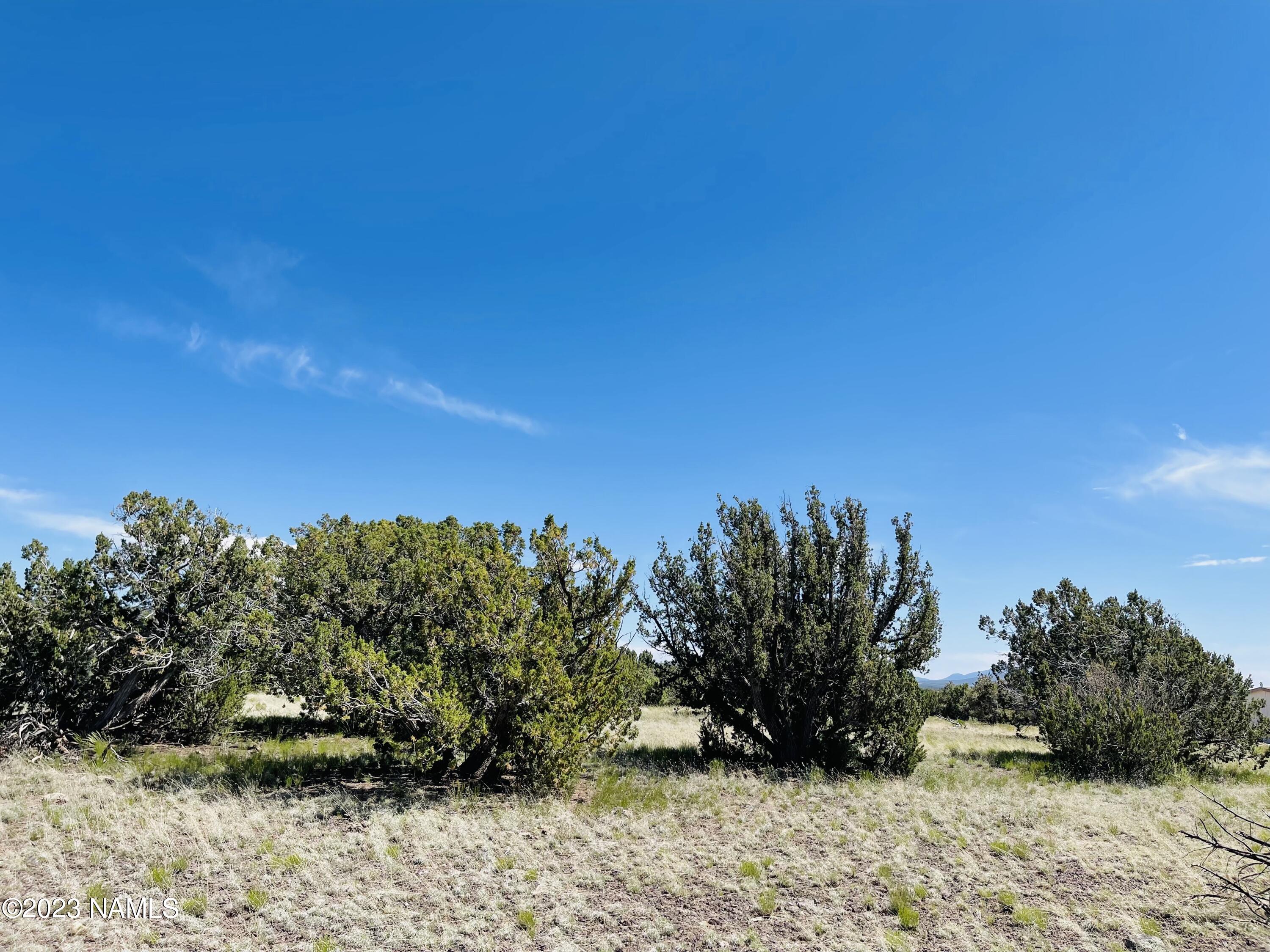2074 W Critter Pass