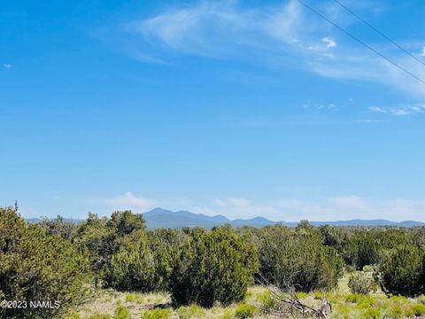 2074 W Critter Pass Williams AZ 86046